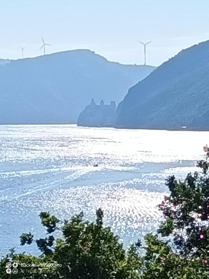 Apartman Bella Vista Golubac Eksteriør billede