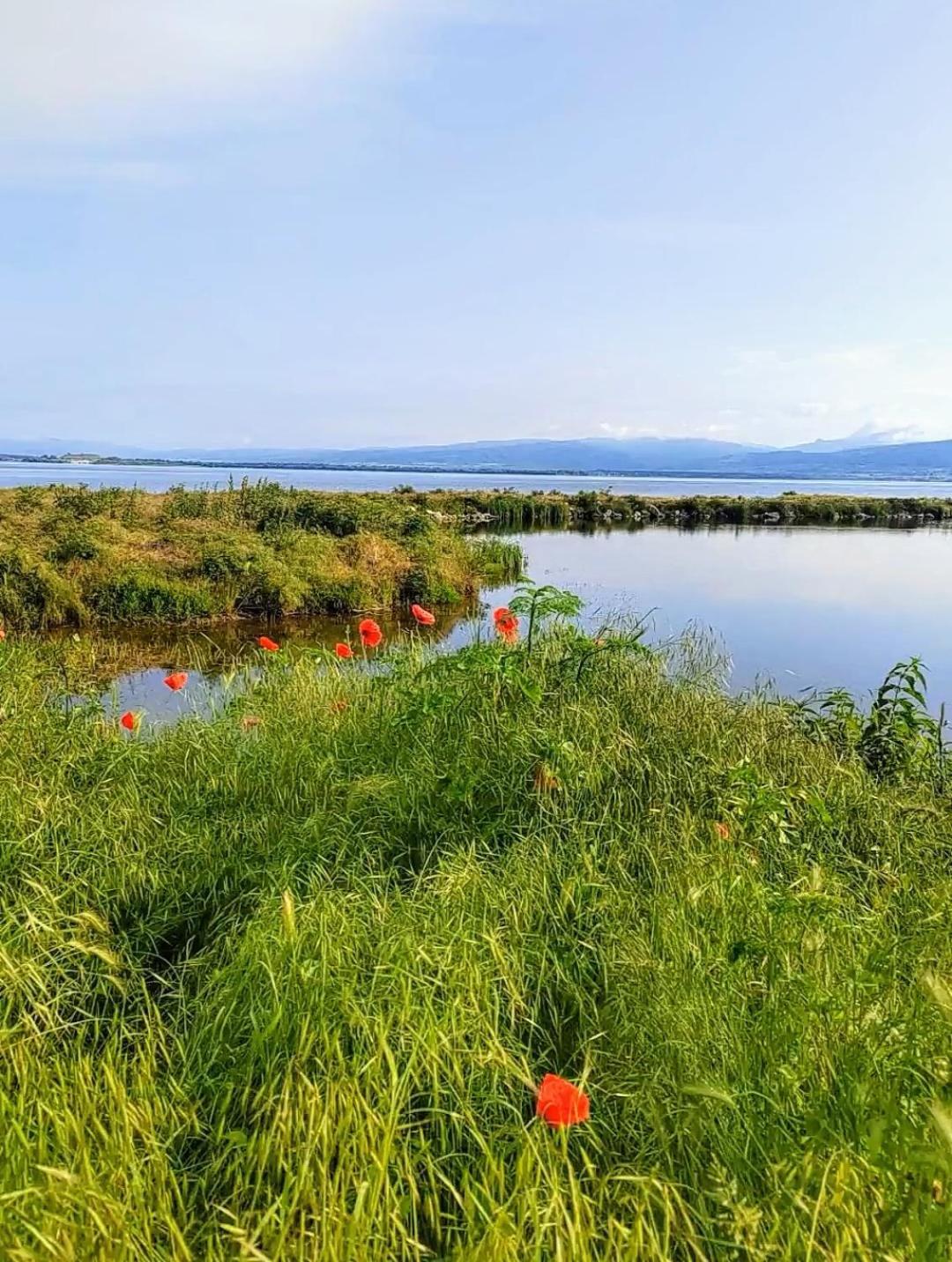 Apartman Bella Vista Golubac Eksteriør billede