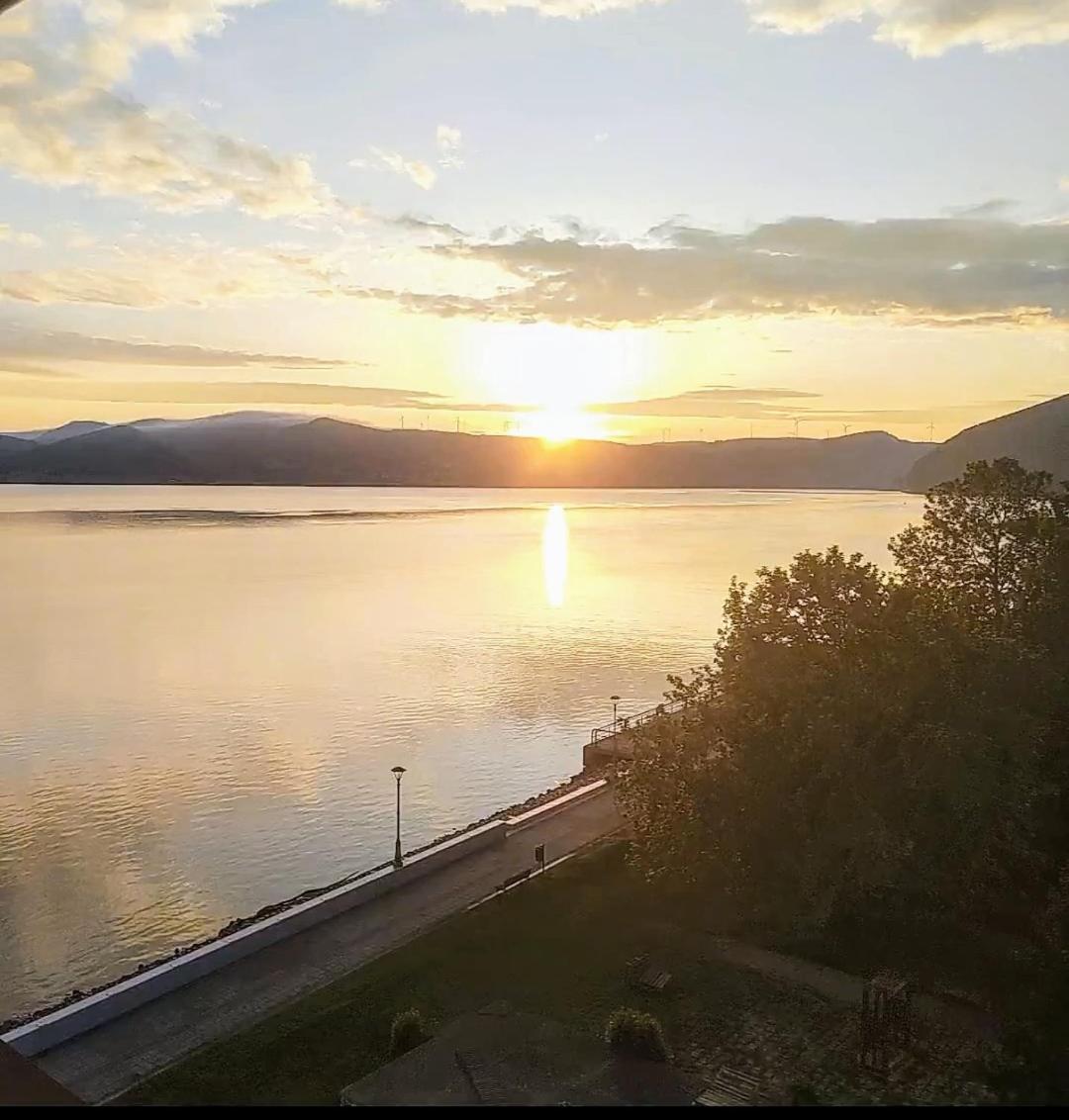 Apartman Bella Vista Golubac Eksteriør billede